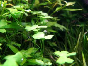 gallery_12620_1573_84493.jpg