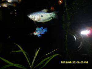 gallery_24008_1584_3257286.jpg