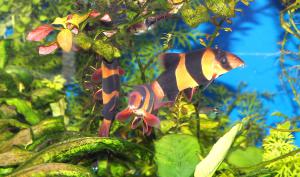 gallery_18062_1127_296254.jpg