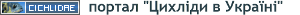 gallery_1948_125_3597.png