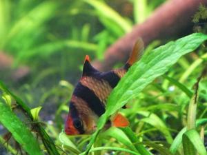 gallery_23050_1605_76194.jpg