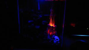 gallery_21773_1620_7806.jpg