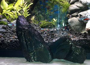 gallery_13486_1657_1866564.jpg