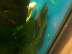gallery_15378_1659_1138347.jpg