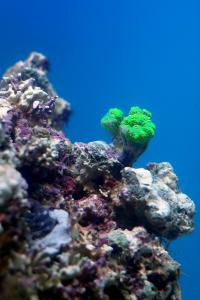 gallery_25333_1669_10149.jpg