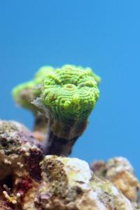 gallery_25333_1669_44033.jpg