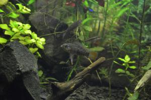 gallery_21176_1676_4517553.jpg