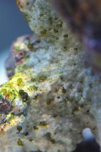 gallery_25333_1669_227156.jpg