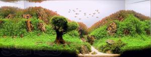gallery_25364_1701_30777.jpg
