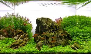 gallery_25364_1701_35919.jpg