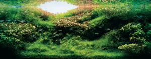 gallery_25364_1701_405143.jpg