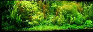 gallery_25364_1701_56858.jpg