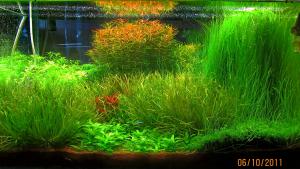 gallery_10859_1702_2517491.jpg