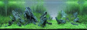 gallery_25364_1701_39216.jpeg