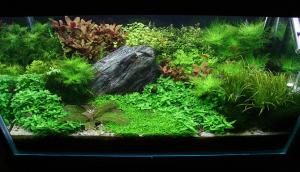 gallery_25364_1701_73407.jpg