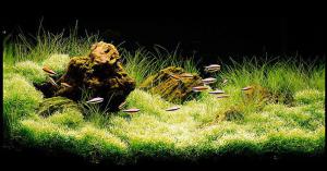 gallery_25364_1701_7627.jpeg
