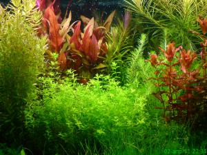 gallery_10859_1702_1033729.jpg