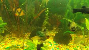 gallery_9450_1093_1266655.jpg