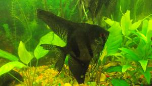 gallery_9450_1093_193680.jpg