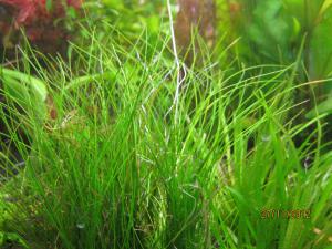gallery_25991_1721_137449.jpg
