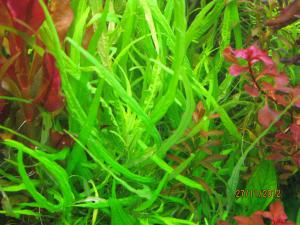 gallery_25991_1721_143552.jpg