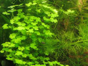 gallery_25991_1721_166541.jpg