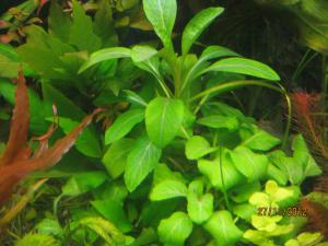 gallery_25991_1721_67775.jpg