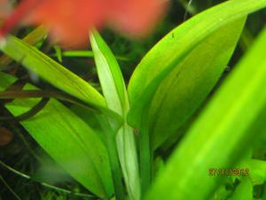 gallery_25991_1721_76354.jpg