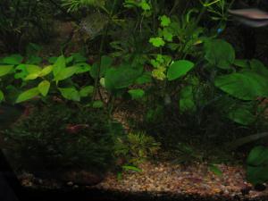 gallery_4533_1720_124616.jpg