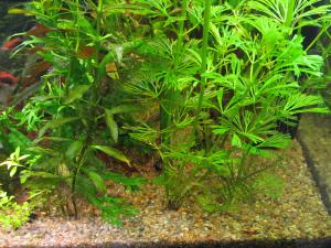 gallery_4533_1720_624347.jpg