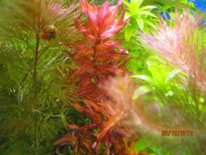 gallery_25991_1721_107523.jpg