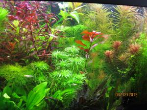 gallery_25991_1721_392466.jpg
