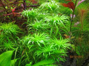 gallery_25991_1721_83172.jpg