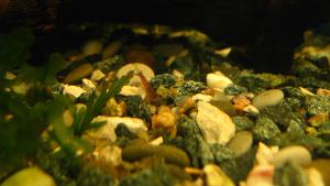gallery_20481_1734_347596.jpg
