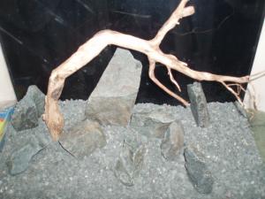 gallery_25863_1731_1655159.jpg