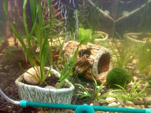 gallery_26151_1748_51144.jpg