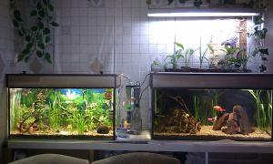 gallery_26302_1742_457322.jpg