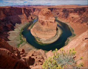 gallery_25364_1754_332994.jpg