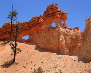 gallery_25364_1754_425797.jpg