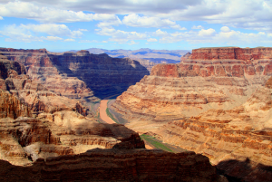 gallery_25364_1754_82187.png