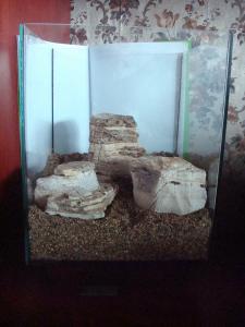 gallery_25364_1761_35585.jpg