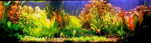 gallery_10157_472_502584.jpg