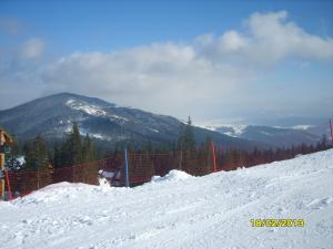 gallery_9962_1430_161070.jpg