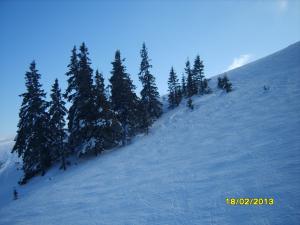 gallery_9962_1430_265544.jpg