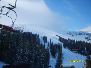 gallery_9962_1430_268130.jpg