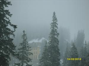 gallery_9962_1430_28291.jpg