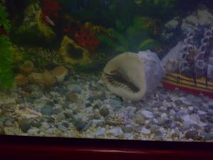 gallery_27026_1777_211595.jpg