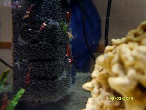 gallery_9962_1778_109980.jpg