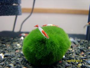 gallery_9962_1778_200262.jpg