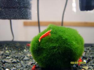 gallery_9962_1778_214512.jpg